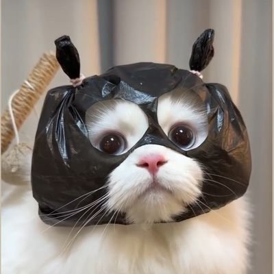 Anllys_Dorn's profile picture. 💫Anllys ของเฮียดรณ์🩵🐉 #NexT1DE_DORN
❤️ม่าม๊า พี่ทัมม🌻 #NexT1DE_THIO
🍫มัมหมีน้องเนย🧸 #Butterbear