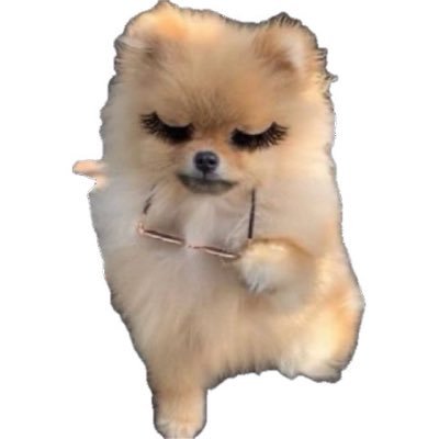 ibin1289's profile picture. 꿀팁줍하는계정