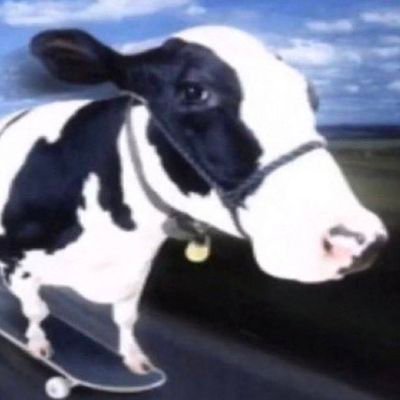 boobymcfooby's profile picture. 22▪
drummer sometimes