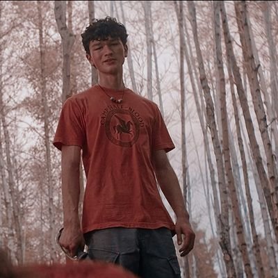 EmcraldBlood's profile picture. You're part of our family now. And i promise i'm not going to fail you like our families did us. Deal?