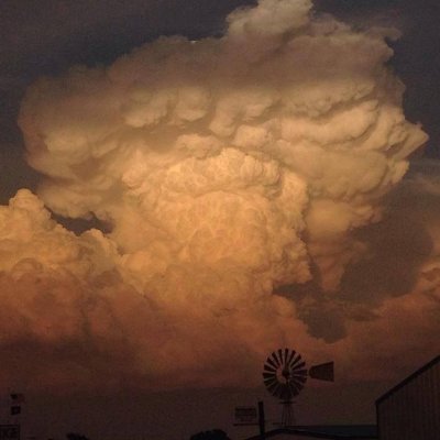 bigmouthladadaa's profile picture. 