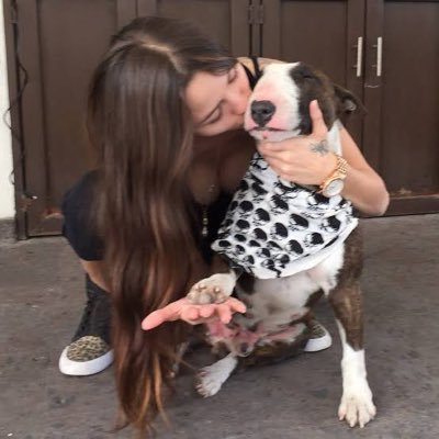 DummingL85012's profile picture. 