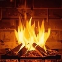 EchoesOfRai's profile picture. 