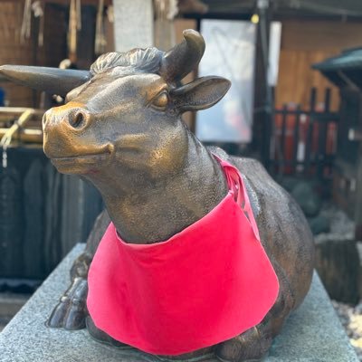 gngnle12's profile picture. 投資歴15年。40代。マンション2室。アパート1棟。配当金で主にVYMとVIG買ってます。FP2級、簿記1級、宅建持ち。