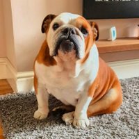 Wayno (@theforcefed) 's Twitter Profile Photo