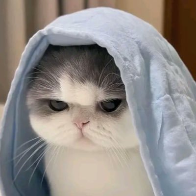 Nxriiq8's profile picture. 