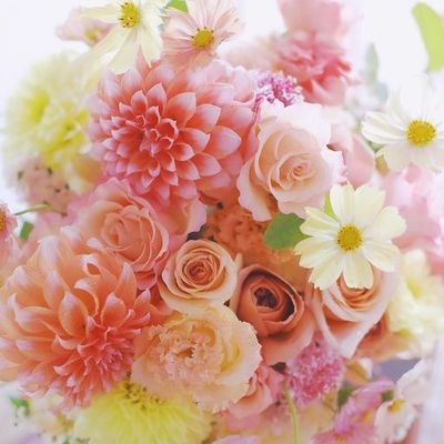 VGkNnJ5RnI4180's profile picture. ドライブ車の運転好き　料理好き　観葉植物好き　ブライダルブーケ&ブートニア作ります　バレーボール観戦好き　拉致監禁はおかしい　スパイ防止法賛成　　夫love🫶　DM、返信しません🙇