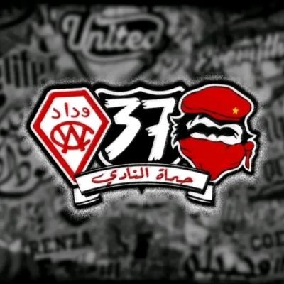 zakariaamahbou's profile picture. 