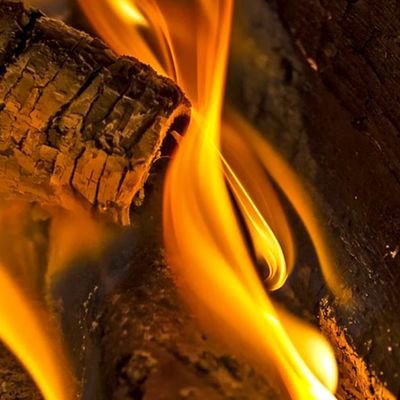 CulturaAlberto's profile picture. ❤️💙Culé🎨PINTURA🎬CINE🎸MÚSICA📚LECTURA🌍CULTURA📸FOTO🦕🐞🔭CIENCIA🏆DEPORTE🖊️FRASES🎮JUEGOS