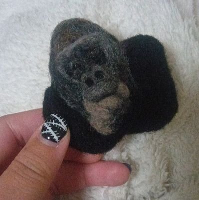 gorigenkioshi06's profile picture. 動物園巡り！特に東山動物園出没多め夏はあまり出没しません。ゴリラやネコ科の動物園大好き
TikTokライブたまーーにやってます！DM返信しません。知り合いは返します