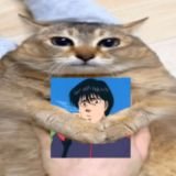 skibidipotato's profile picture. cruz azul 💙 🥺