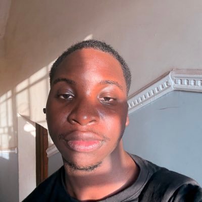 PriestlyChukwu's profile picture. I just want to learn and build cool things