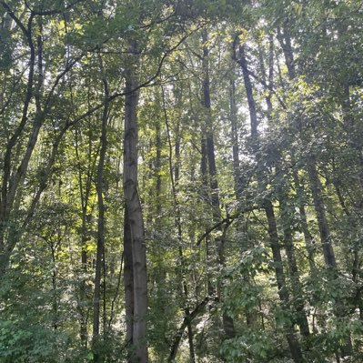 Tinobambino16's profile picture. 