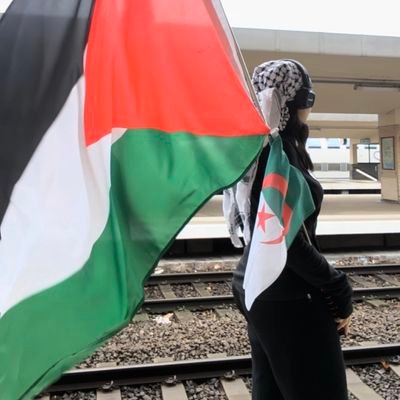 zaatarwzaytoun's profile picture. 🇩🇿 Bouatoura 
❤️ Je tends la joue comme Celui né à Bethléem.
✝️ Online school to learn the arabic liturgy for free : https://t.co/bW2WXAgiY9