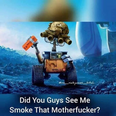 tacitrainbow42's profile picture. 