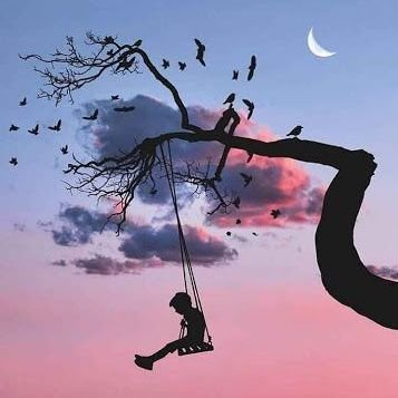 sbb161602's profile picture. 