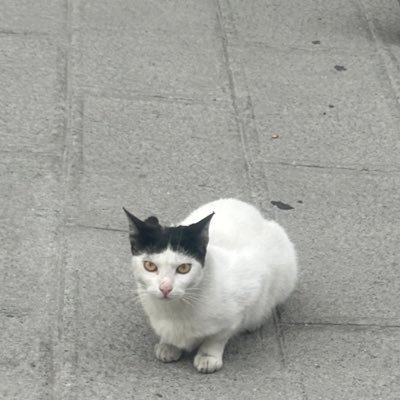 lahmacunbira's profile picture. Ne yapabilirim bazen ?