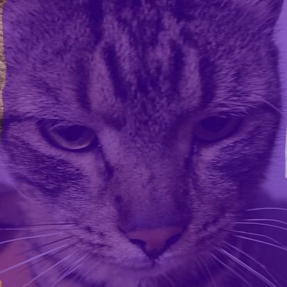 tiredamandaki's profile picture. this is a diary ig | multifandom