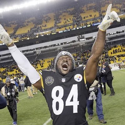 _Stirfry_'s profile picture. pro curiosity