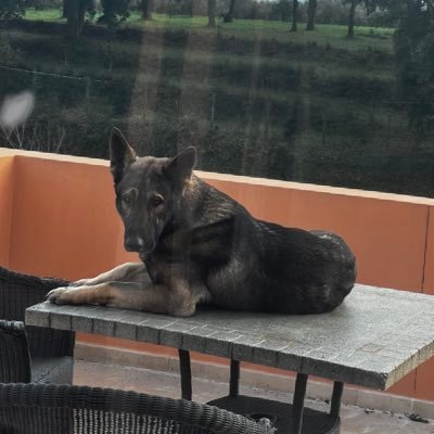 aquintass2004's profile picture. 