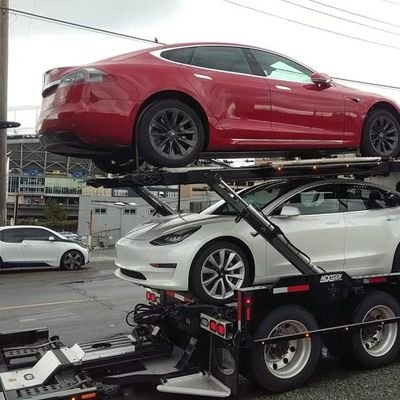 elonmusk7653232's profile picture. 