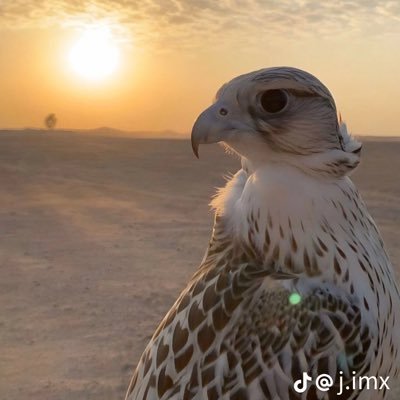 Aa______62's profile picture. اشهدنه مايعزر ويلعب بالقلوب. غير صبرن في رجاء شي م الله كاتبه. ⠀ ོ⠀ ⠀⠀⠀⠀⠀⠀⠀ ⠀⠀⠀⠀⠀⠀⠀⠀⠀⠀⠀⠀⠀⠀⠀⠀⠀⠀⠀⠀⠀⠀⠀⠀⠀⠀ ⠀⠀⠀⠀⠀⠀⠀⠀⠀⠀⠀ ⠀⠀ ⠀ོ⠀ ⠀⠀⠀ ⠀ ོ⠀ ⠀ ོ⠀ ⠀⠀⠀⠀⠀⠀⠀ ⠀⠀⠀⠀⠀⠀⠀⠀⠀⠀⠀⠀⠀⠀⠀