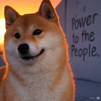 federic60884985's profile picture. Dogecoin Standard  :)