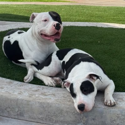 bigtimeray0's profile picture. 