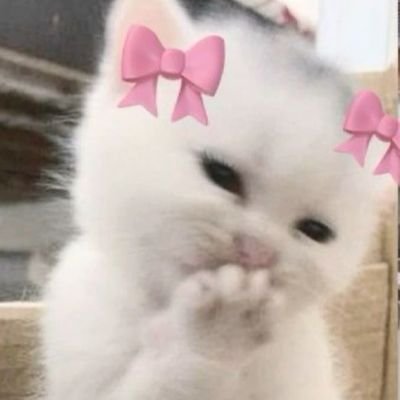 MistressNektra's profile picture. 🍄⋆˙⟡✨ 𝑭𝒖𝒏𝒈𝒐 𝒒𝒖𝒆 𝒅𝒆𝒔𝒆𝒏𝒉𝒂 𝒆 𝒇𝒂𝒛 𝒖𝒎𝒂𝒔 𝒄𝒐𝒊𝒔𝒂𝒔 𝒂í ✨⟡˙⋆🍄