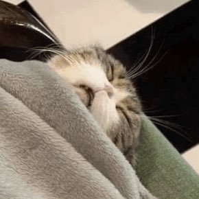 yaarnahiyaar's profile picture. 