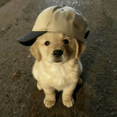 hourlygemz's profile picture. ⏻