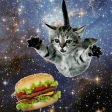 chillchungus72's profile picture. 