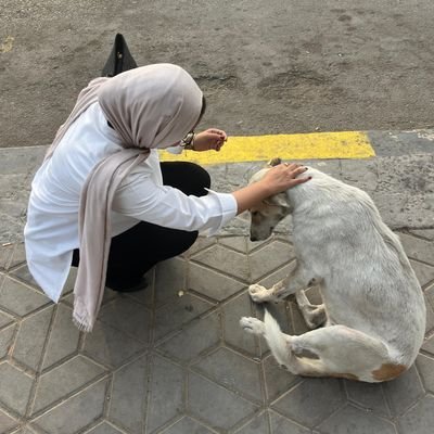 voidHabibaa's profile picture. I’m a damsel, I’m in distress, I can handle this.