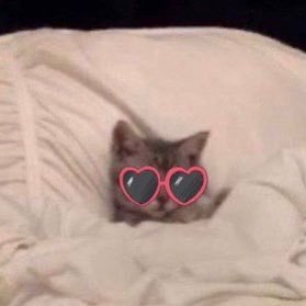 TinaHarvey88's profile picture. BK🗽|| DJ🎶|| Coddler🫂||📧 @Shaggyx410|| @KnicksSpaces||#CHOP🪓🏈|| #SJUBB||#NYG||#repbx ||#NYR ||#NYL🏀🐘||ManUTD🔴