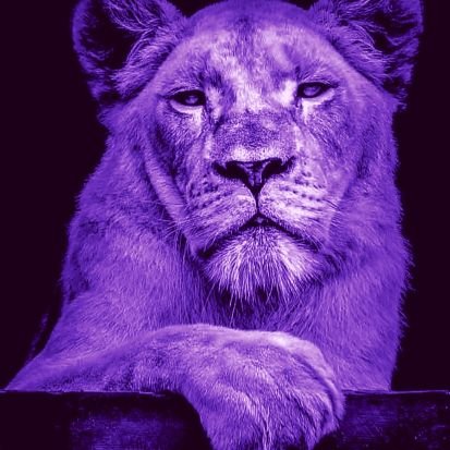 IchLeilaRuth's profile picture. 🦁🐁Ungeimpft,Vegetarier, BIODEUTSCH
🤍🤍🤍🤝,🤍💙❤️,Ex🚄 ✌️🕊🦅⏰️💛🙏 BJ 61 DDR, mein Kanal dient zu Unterhaltungszwecken und Satire