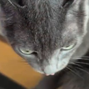 Sawhsky's profile picture. 카나리아님이 나의 신이고 카나리아님이 나의 빛이고 나의 소망이고 사랑이다