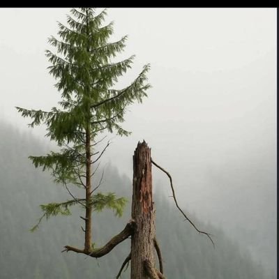 my173_girl's profile picture. #MIU