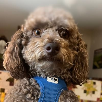 DavidJohnG9's profile picture. 