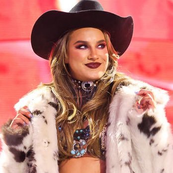 RodeUpToHoedown's profile picture. parody of @FallonHenleyWWE