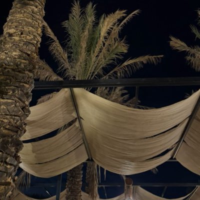 ri1llii's profile picture. 