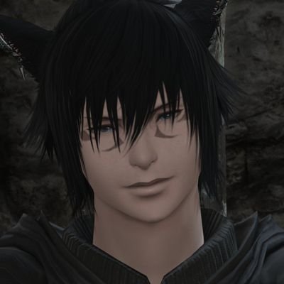 ThomasBuot's profile picture. 日本の文化とポップカルチャーに情熱を持っています. 私はビデオゲーム全般が好きです 日本語を勉強しています au ra ⚠️♂ 🐉