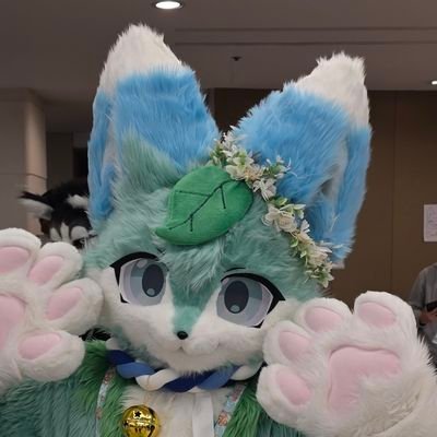 fur_Berang97's profile picture. 모두 안녕~! 빗방울 여우냥 비랑등장이야~!나랑 같이 나뭇잎 침대에서 뒹굴거리면서 놀지 않을래? 🪡 @bluefox_kr      일정 : 12월 연말파티 ➡️ 1월 촬영회 ➡️ 하울슾➡️ 퍼리조아(미정)