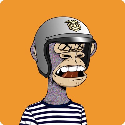 GraderJo's profile picture. ♥️@caraleanah/👦🏻👶🏻/sped teacher🧑🏻‍🏫/adopted🇰🇷🇺🇸/🎸/🏀/🎣/💨🌲/BAYC 5683🦍/#LightTheBeam/closed😬don’t get fed/lazy hands don’t count🍞