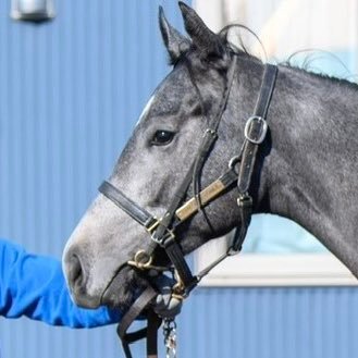 yamaguchistable's profile picture. 9/22 23 東京ドーム