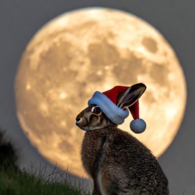 anglocelticvik's profile picture. Unapologetic English Nationalist and Vegan. Islam Critical. Gender Critical.