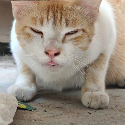 gt3gi0's profile picture. i geek out when I see tech haha