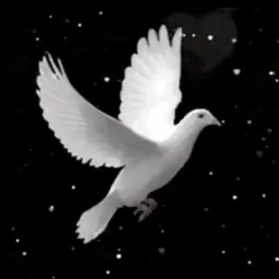 normag202's profile picture. 