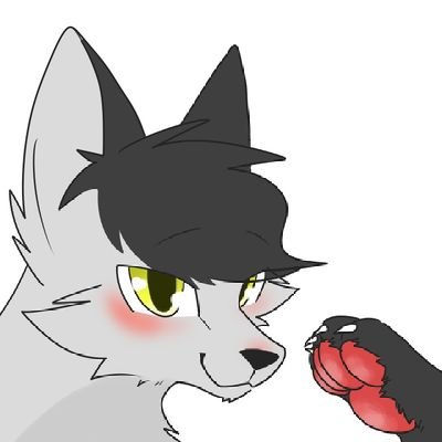 nito41410's profile picture. こんにちは！
俺は狼の国からきた狼の騎士です
俺に着いてきてください😊
※ちなみに私は女ですが一人称俺なので気にしないで
※空音 雪はティールブルーでの名前なので間違えなく💙
 担当の色緑色×青