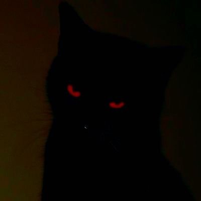 Leandro00904027's profile picture. Sleep