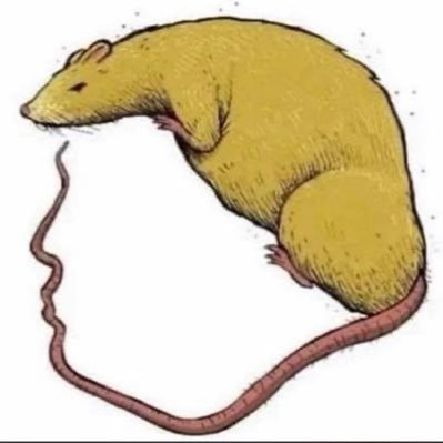 MeDaTeacher1's profile picture. Here 4 DaDogs! I will not give into the lies. I will not give into the fear. ALSO: Fed up with these unpatriotic hate-filled idiots.